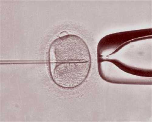 成功案例！2026做泰国供卵试管婴儿喜获双胞胎,供卵助孕价格多少钱