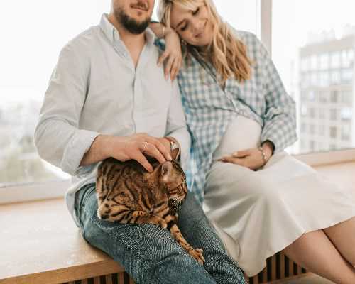 2026湖北完成供卵试管男孩费用七万元足够吗？,代孕的操作流程